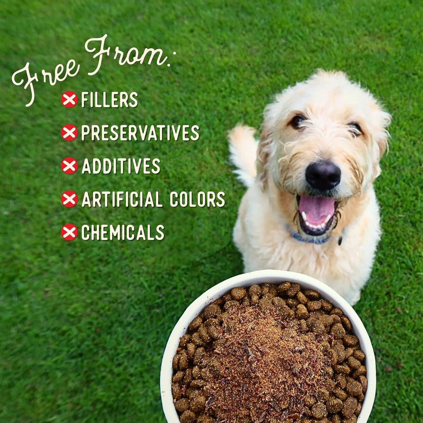 Beg & Barker Beef Dog Food Toppers (8 Ounce, Pack of 1) – 100% Made in USA Single Ingredient Meal Topper for Picky Eaters – Meal Enhancer with Whole Beef – Meal Mixers for Dogs, Human Grade