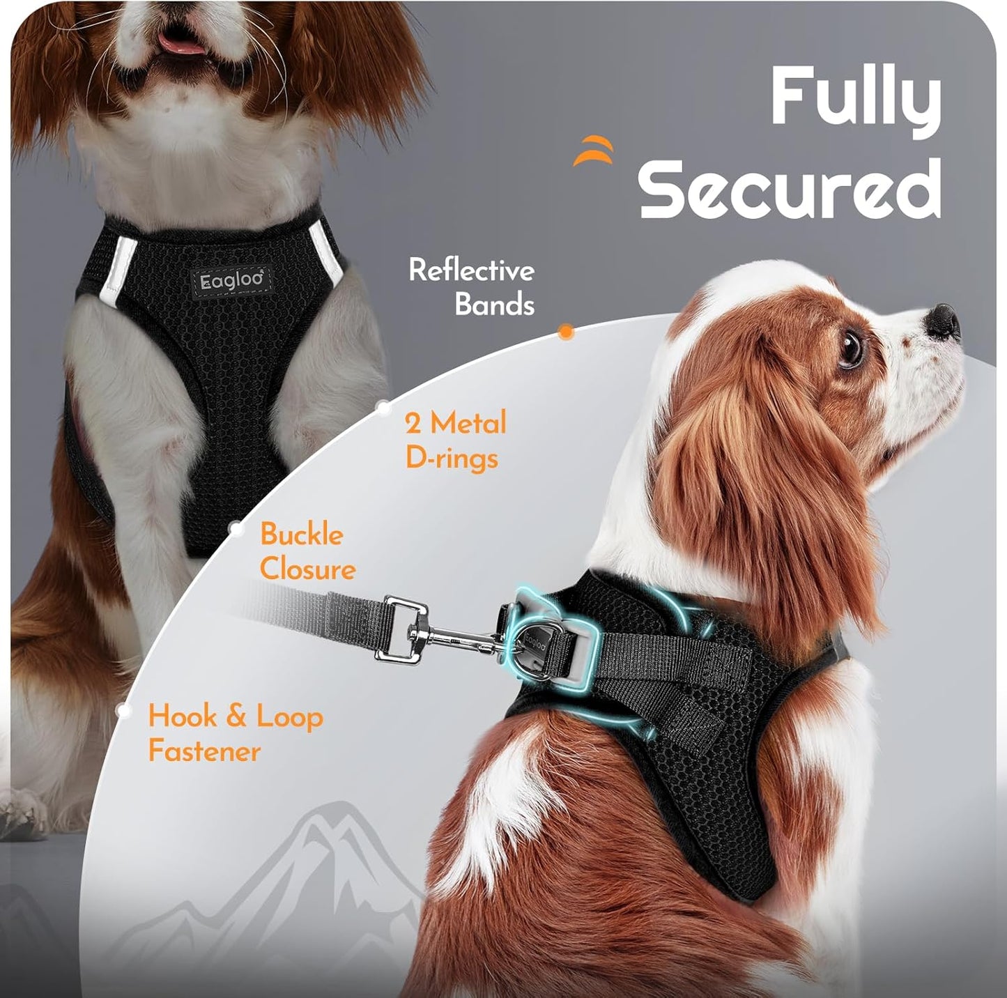 Eagloo Small Dog Harness and Leash Set, Step in Puppy Vest with Breathable Soft Mesh, Walking Reflective Pet Harness for Medium Small Dogs, Black, M