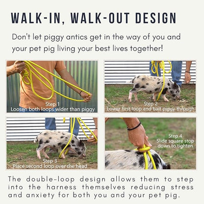 Mini Pig Harness & Leash (S/M) - Fully Adjustable, Infinity Style Lead, Step-in Harness, Potbelly Supplies, All-in-One - Ideal for Small & Medium Pet Pigs (Small, Eggshell Blue)