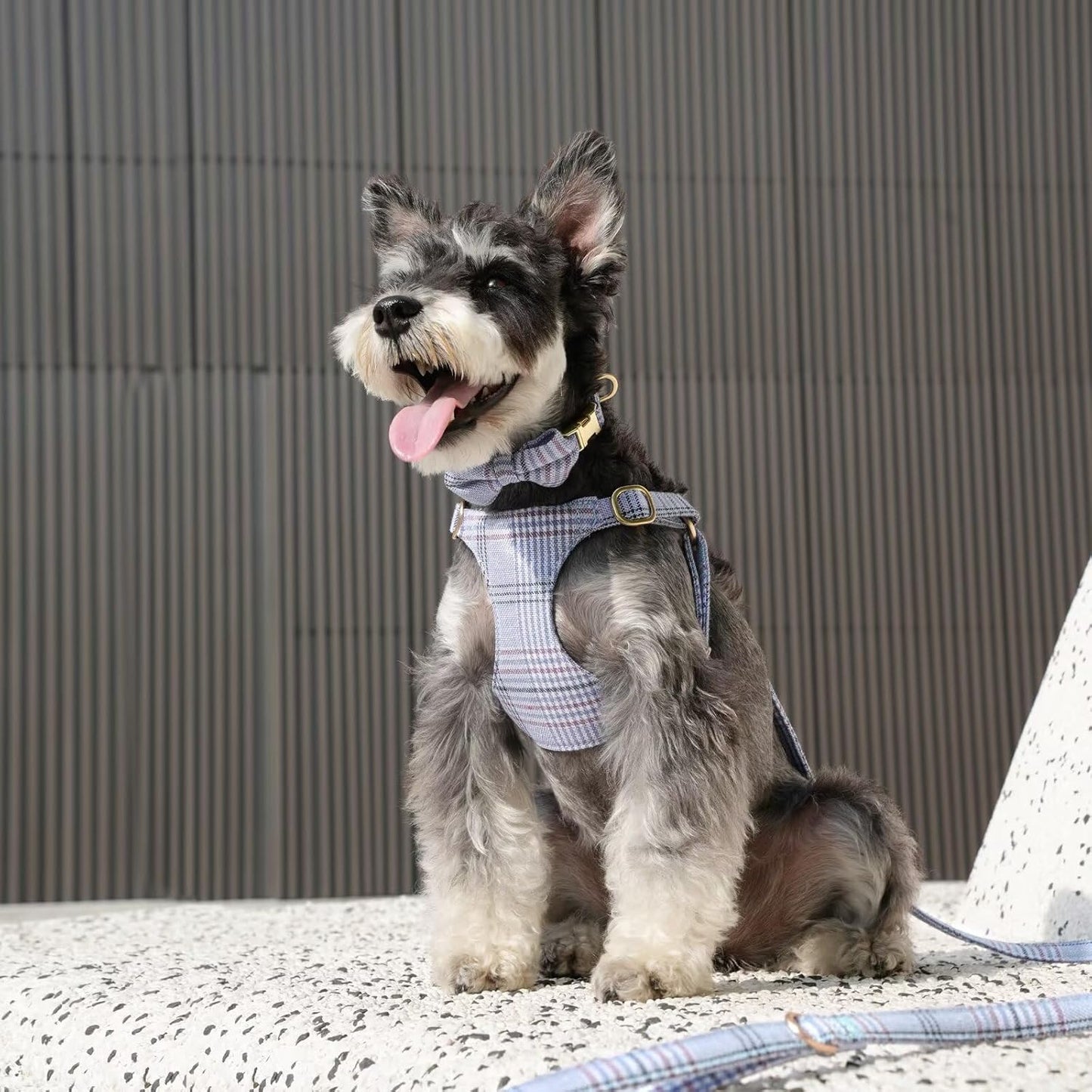 Beirui Cute Small Dog Harness Collar and Leash Set with Bowtie, Soft Adjustable Plaid Puppy Harness for Small Sized Dogs Cats Walks Parties and Photoshoots(Blue,S:Chest 17-23")