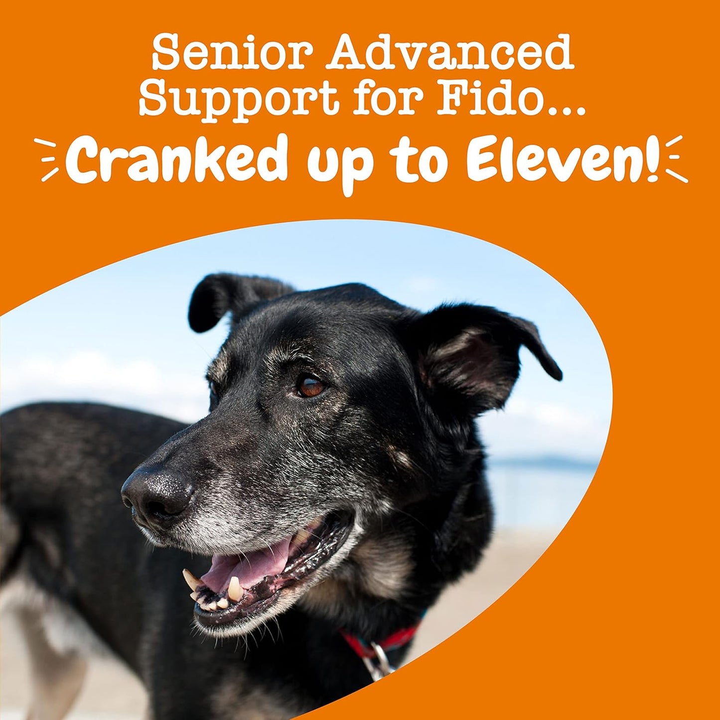 Zesty Paws Senior Dog Multivitamin Treats - Glucosamine for Dogs + Digestive Enzymes & Probiotics - Grain Free Dog Vitamins and Supplements for Skin & Coat + Immune Health Chicken - Advanced - 60ct