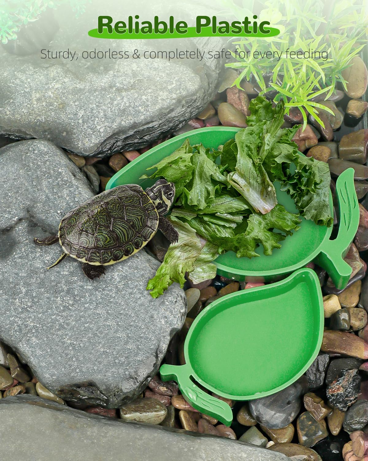 Pawfly 2 Pcs Reptile Water Bowl, Tortoise Water Dish, Food & Water Feeder, Cute Mango Feeding Dish, Tortoise Habitat Accessories for Turtle, Gecko, Bearded Dragon & Lizard, 2 Sizes