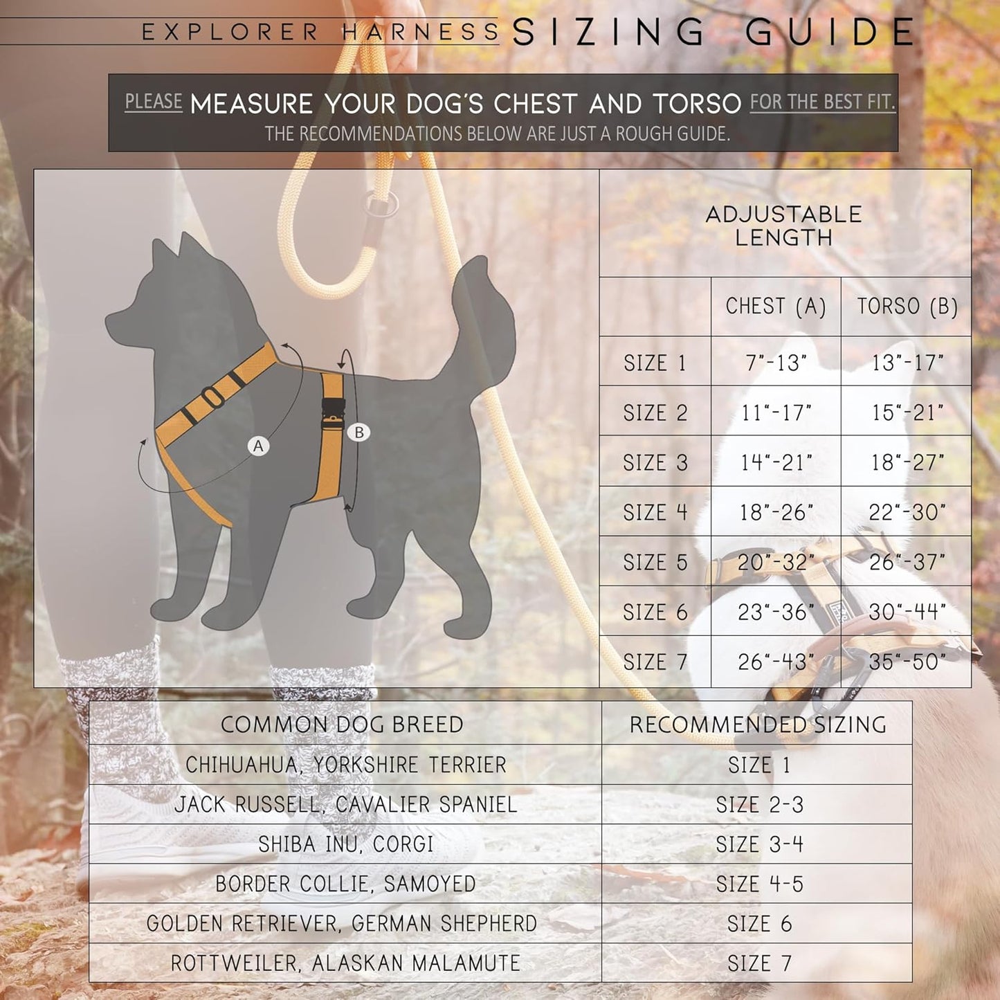 MADE TO ROAM Premium Explorer Harness - Y-Shaped Dog Harness with Adjustable Durable Nylon, Soft Padding, Metal Buckles and Leather Handle for Small, Medium, Large Dogs (Carolina Blooms, Size 5)