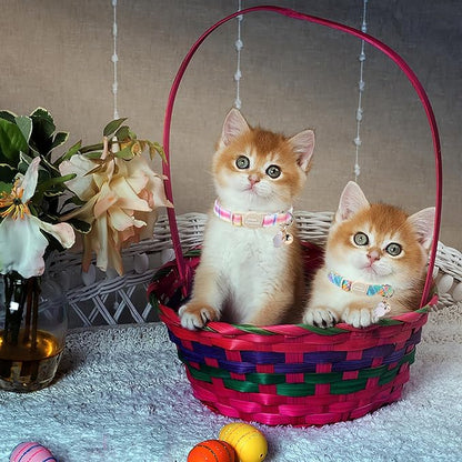 Unique style paws 2 Pack Easter Day Kitten Collar Breakaway with Bell&Pendant, Adjustable Safety Blue Pink Colorful Plaid Cat Cotton Collar for Girl Boy Cat and Small Pet