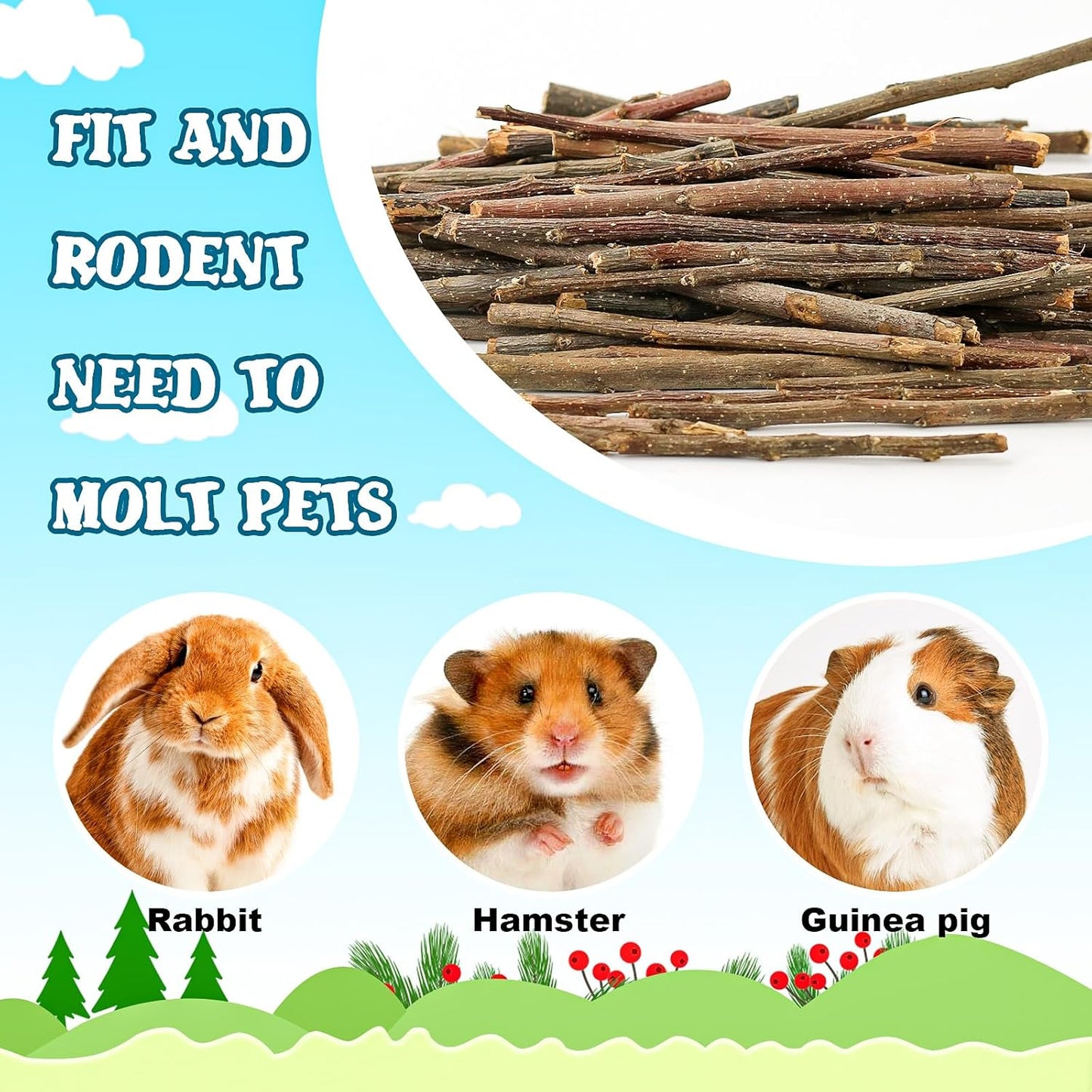 600g/1.3lb Apple Sticks Chew Toys for Guinea Pigs Rabbit Teeth Grinding Treats Toys for Bunny Chinchillas Hamster Gerbil Parrot Small Animal Pet Supplies