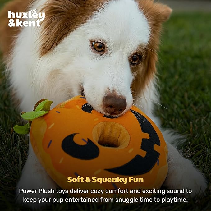 Huxley & Kent Halloween Funny Dog Toy w/Squeaker – Power Plush Squeaky Dog Toys for Small, Medium & Large Dogs – Soft Stuffed Animal for Indoor Play & Fetch - Pumpkin Donut, One Size