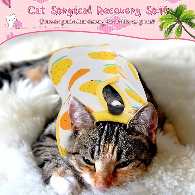 Nuanchu 3 Pieces Cat Recovery Suit Kitten Recovery Suit E-Collar Alternative for Cats and Dogs Abdominal Skin Anti Licking Pajama Clothes Sets(Large,Fruit Style,Colorful)