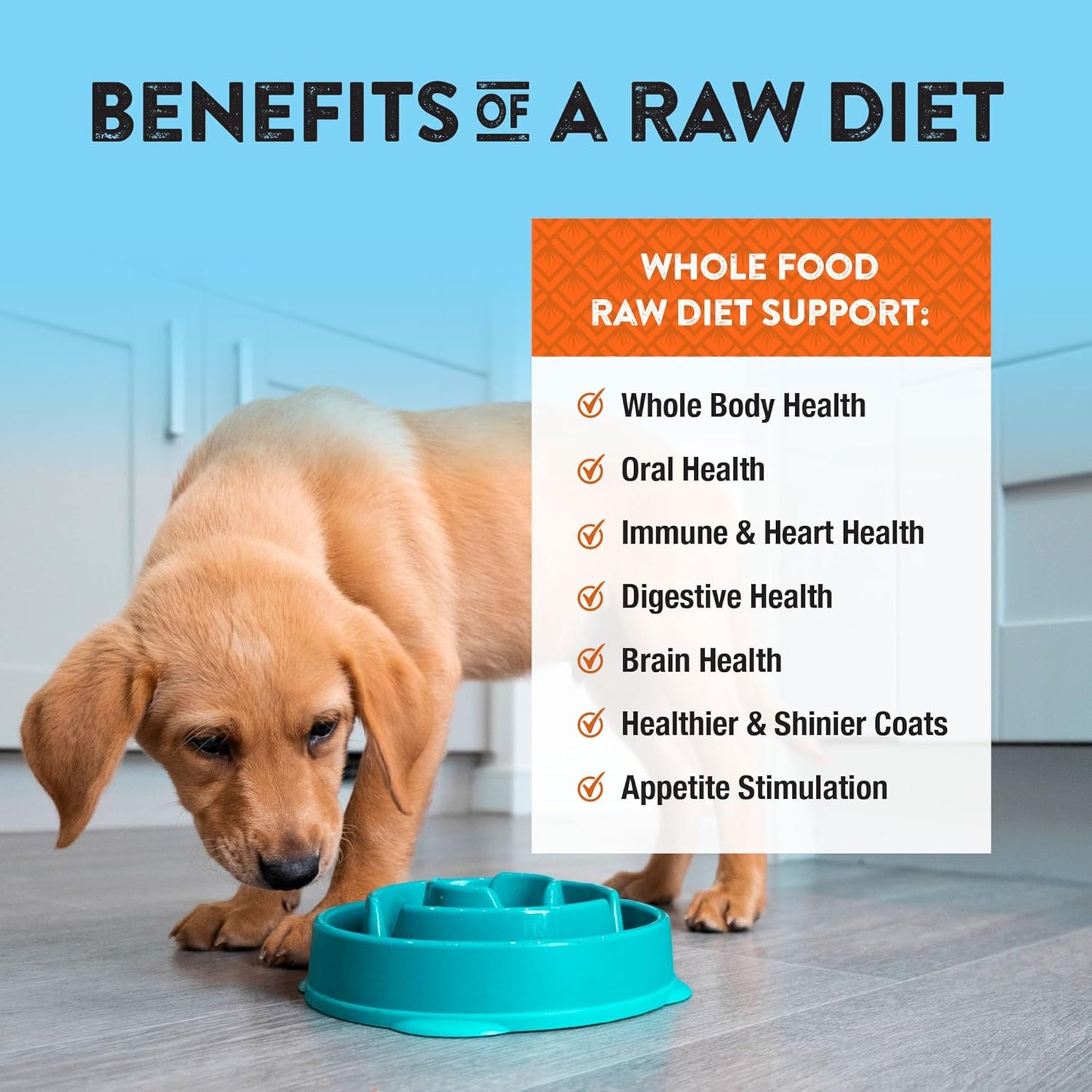 Northwest Naturals Freeze-Dried Chicken & Salmon Dog Food - Bite-Sized Nuggets - Grain-Free, High-Protein, Raw Diet, Human-Grade Ingredients, All Natural, Omega-3 for Skin & Coat - 12 Oz (Pack of 2)