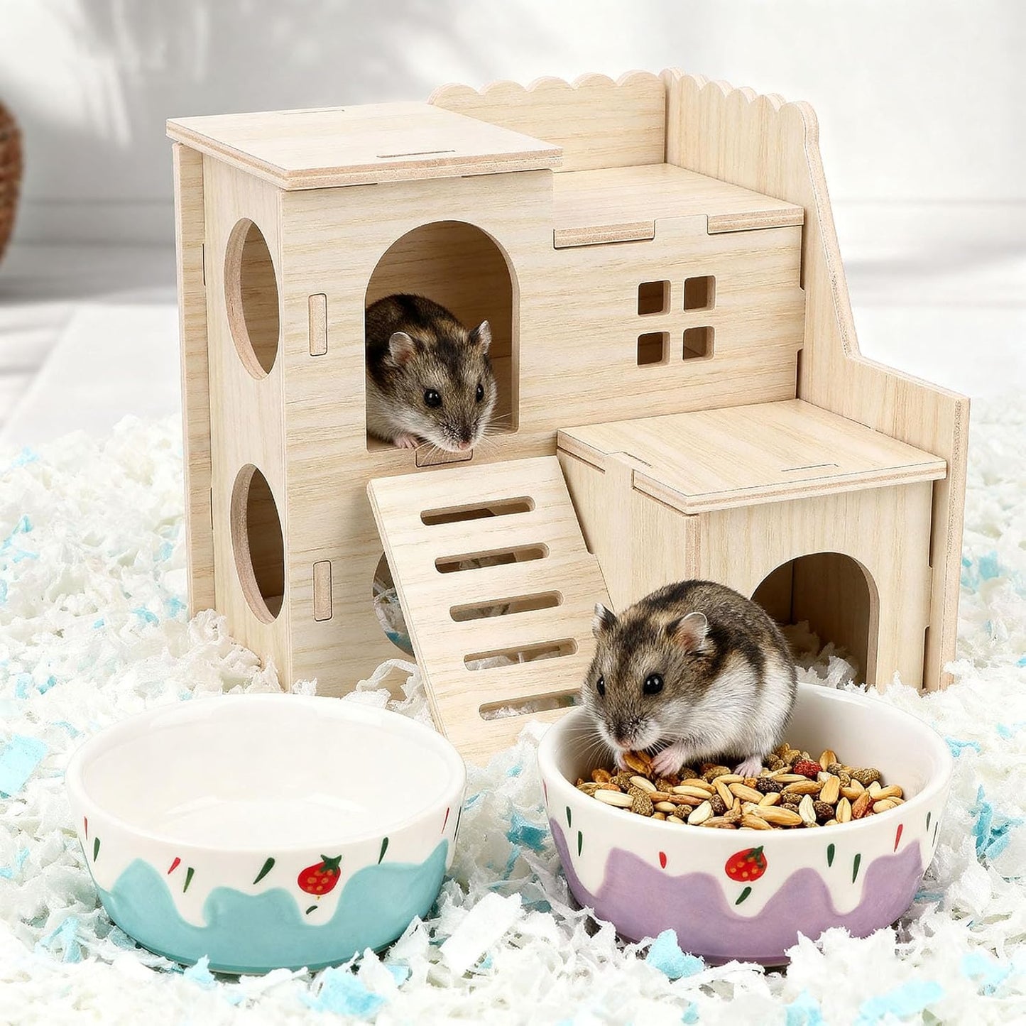 Wontee Hamster Food Bowl 2 Pack Ceramic Food Water Bowl Anti-Tipping for Dwarf Hamsters Gerbil Mice Hedgehog Guinea Pig (Blue+Purple)