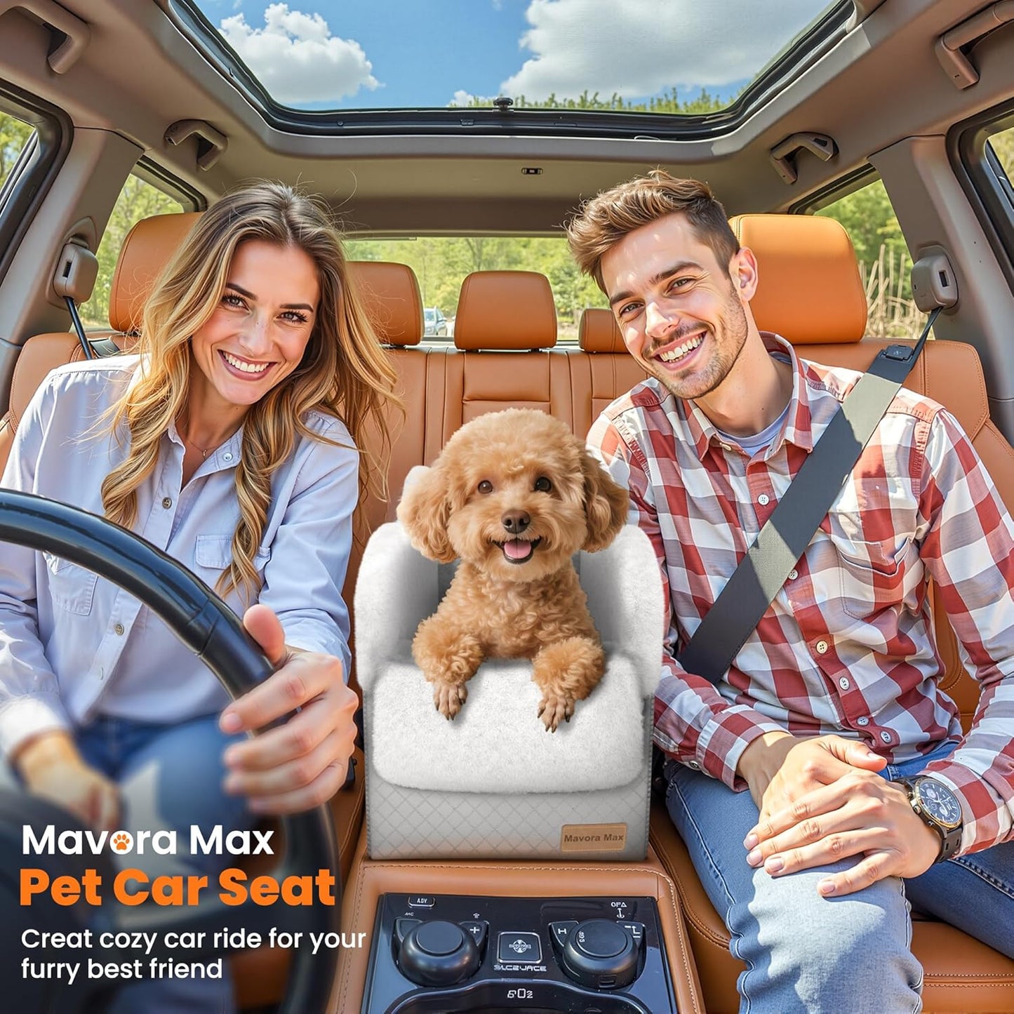 Portable Small Dog Seat for Car, Luxury Center Console Dog Car Seat Booster with Safety Tethers, Auti-Collapse Pet Travel Carseat for SUV, Truck (Light Grey/White)