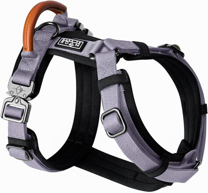 MADE TO ROAM Premium Explorer Harness - Y-Shaped Dog Harness with Adjustable Durable Nylon, Soft Padding, Metal Buckles and Leather Handle for Small, Medium, Large Dogs (Montana Moonrise, Size 2)