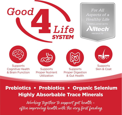 NutriSource Dry Dog Food for Large Breeds, Beef and Rice, 26LB