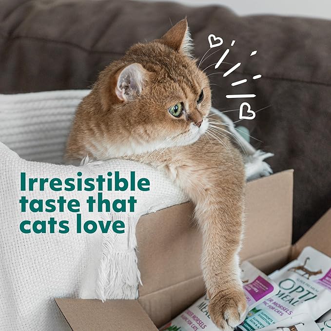 Optimeal Grain-Free Wet Cat Food Pouches – Chicken & Turkey in Savory Gravy, High Protein & Moisture-Rich Tender Morsels, Indoor Adult Cat Wet Food with Natural European Ingredients, 3 oz (Pack of 12)