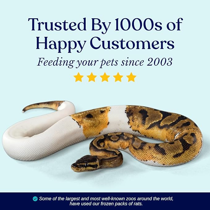 MiceDirect Frozen Rat Medium Feeder Food Adult Ball Pythons, Monitors, Lizards & Birds of Prey (6-8 in Pack of 50)