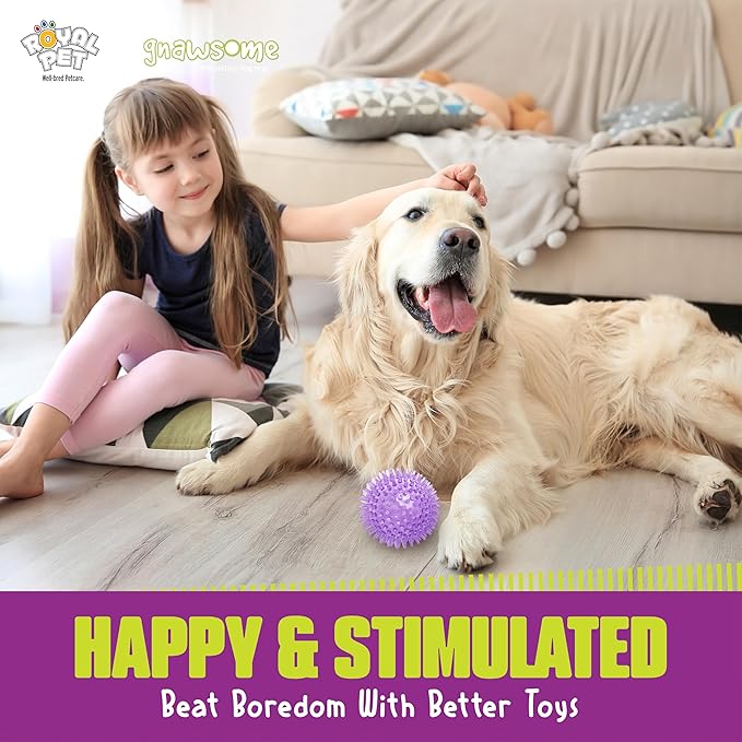 Gnawsome Medium Squeaker Ball Dog Toy, Medium 3.5", Colors will vary, All Breed Sizes