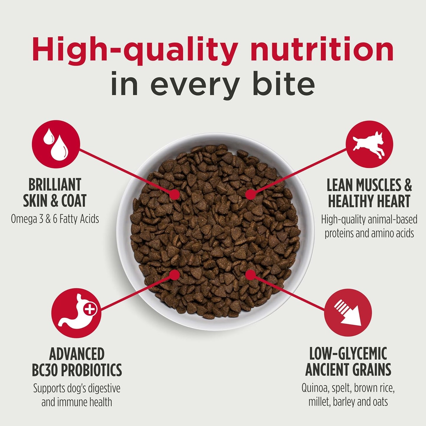 Nulo Frontrunner Ancient Grains High-Protein Dog Food, Chicken, Oats, & Turkey Recipe- Natural Dry Dog Food with Probiotics, Grain-Inclusive Kibble for Adult Dogs, 5 lb Bag