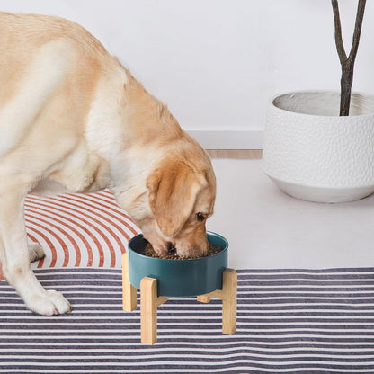 8'' Ceramic Raised Dog Bowl - 70Oz Dog Food & Water Bowl with Elevated Non-Slip Bamboo Stand, Dishwasher & Microwave Safe, Anti Vomiting Heavy Duty Pet Bowl for Medium and Large Dogs, Green
