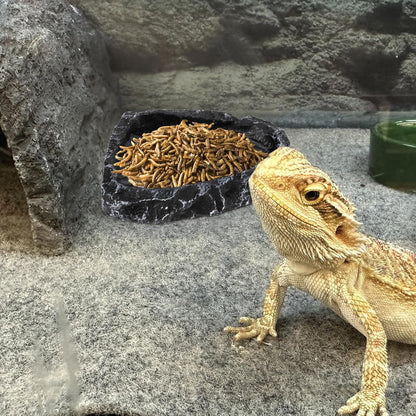 Frcctre 4 Pack Reptile Food Dish with Feeding Tongs, Resin Reptile Water Dish Food Bowl Feeding Terrarium Bowl for Leopard Gecko Lizard Tortoise Frog Bearded Dragon Chameleon