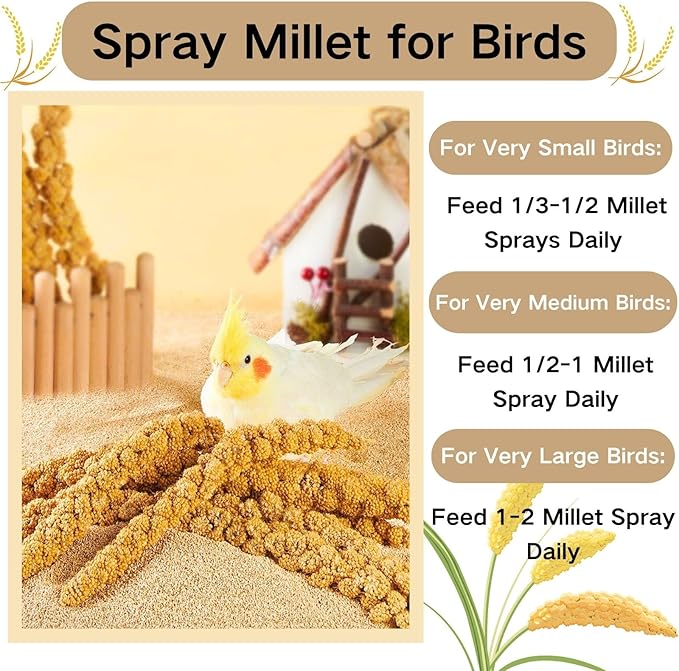 Bird Seed Parakeet Food - 200 Gram Vacuum Sealed Millet Treat for Birds Parakeets Natural Sun-Dried Birds Millet for Cockatiel Budgie Finches Parrots