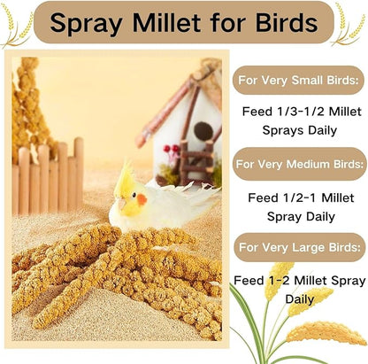 Bird Seed Parakeet Food - 200 Gram Vacuum Sealed Millet Treat for Birds Parakeets Natural Sun-Dried Birds Millet for Cockatiel Budgie Finches Parrots