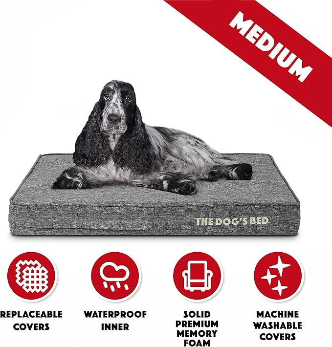 The Dog’s Bed Orthopedic Memory Foam Dog Bed, Medium Grey Poly-Linen, Pain Relief for Arthritis, Hip & Elbow Dysplasia, Post Surgery, Lameness, Supportive, Calming, Waterproof Washable Cover