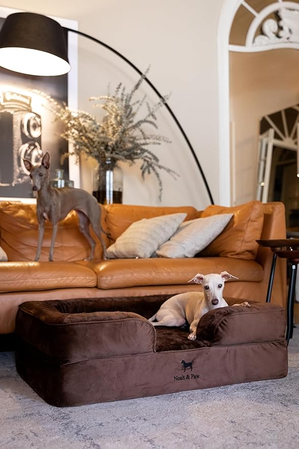 NOAH & PAW Large Dog Bed, 35x25x11 Inch, Orthopedic Dog Beds, Eggshell Memory Foam Infused with Cooling Gel, Inner Cover, Waterproof, Machine Washable (Velvet Sofa Collection)