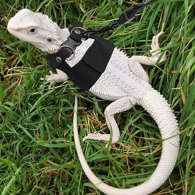 Bearded Dragon Harness and Leash Set, 3 Size Adjustable Soft Leather Reptile Leash, Lizard Harness with Retractable, Small Animal Outdoor Walking Vest with Traction Rope, 3 Pack, Black