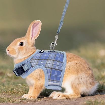 AIITLE Bunny Harness and Leash Set Escape Proof - Magic Tape Design, Lightweight Plaid Pattern Mesh Padding, No Choke No Pull for Puppy Cat Rat Squirrel Ferret, Outdoor Walking Running, Blue S