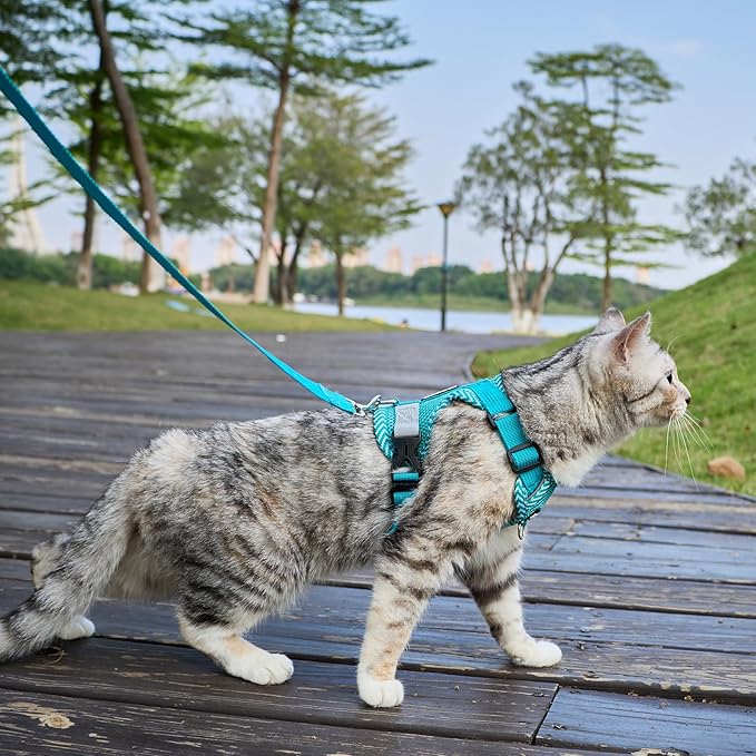 Cat Harness and Leash Escape Proof Extra Large Kitten Harness Maine Coon Cat Vest for Walking Travel, Turquoise, XXL