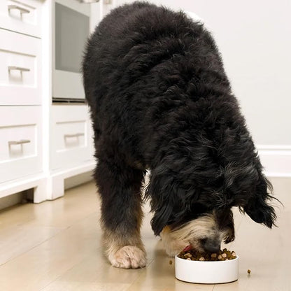 Open Farm, RawMix Grain-Free Dry Dog Food, Protein-Packed Kibble Coated in Bone Broth with Freeze Dried Raw Chunks, Salmon Whitefish & Rockfish, Wild Ocean Recipe, 20lb Bag