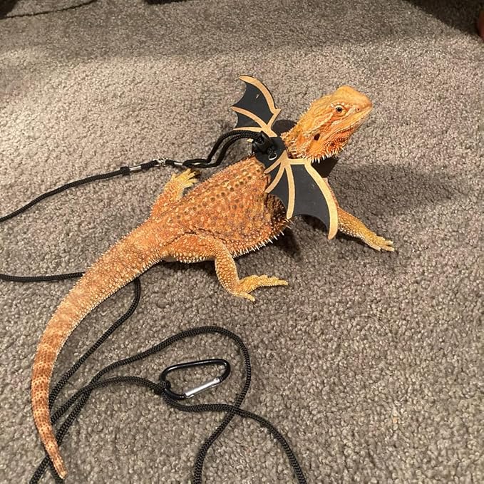 3 Size Pack Bearded Dragon Leashes and Harnesses, Bearded Dragon Harness, Soft Leather Detachable Adjustable Reptile Lizard Wing Leash (Black)