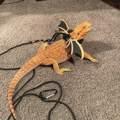 3 Size Pack Bearded Dragon Leashes and Harnesses, Bearded Dragon Harness, Soft Leather Detachable Adjustable Reptile Lizard Wing Leash (Black)