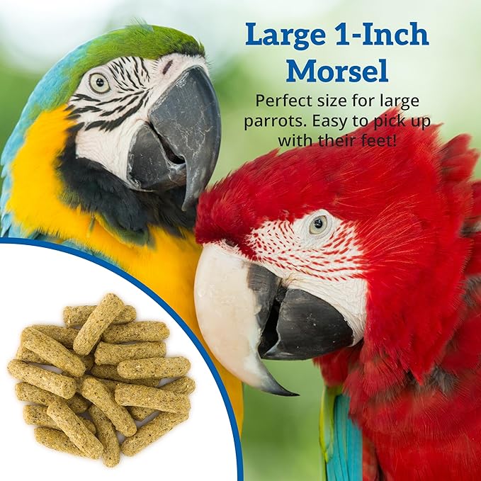 Scenic Corn Jungle Premium Parrot Food - Natural Flavors, High Protein, Low Iron Bird Pellets for Large Parrots, Macaw Food, Cockatoo, African Grey Parrots, Omega 3, Vitamins, Minerals, 2lb(Pack of 2)