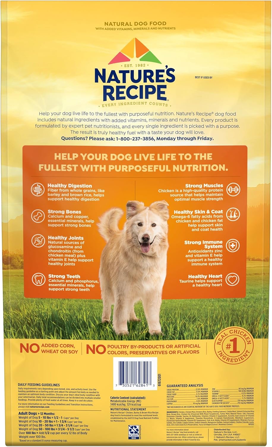 Nature′s Recipe Chicken, Barley & Brown Rice Recipe Dry Dog Food, 24 lb. Bag