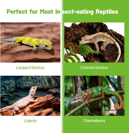 Crested Gecko Food Insect Puree, Fruit Mix Banana, Reptile Food Made with Fresh Insects 2.82oz