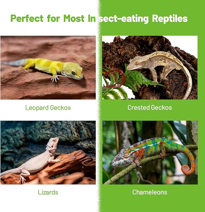 Crested Gecko Food Insect Puree, Dubia Paste Reptile Food Made with Fresh Insects 2.82oz