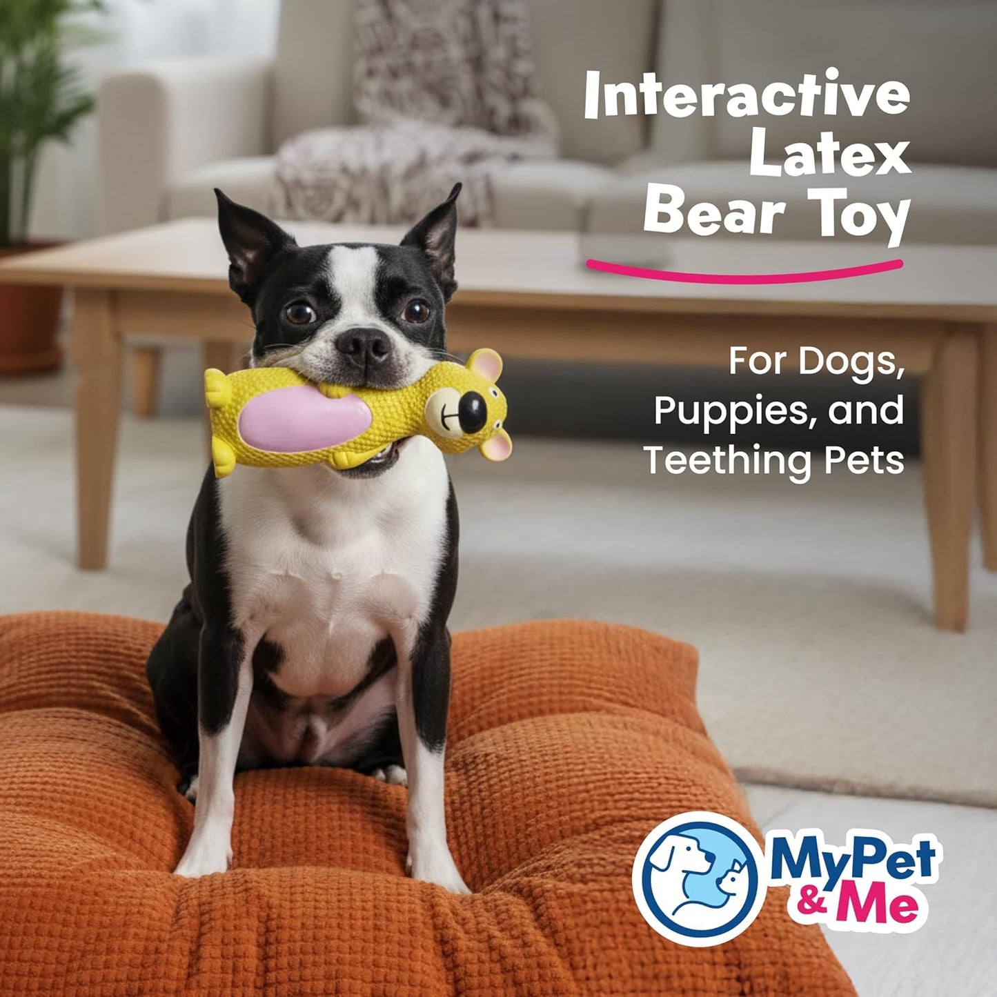 My Pet & Me - Squeaky Dog Toys for Light to Moderate Chewers - Fun Latex Toys for Puppies, Teething, and Gentle Play - Interactive Fetch and Chew Toy with Squeaker (Golden Bear, 6 Inch)