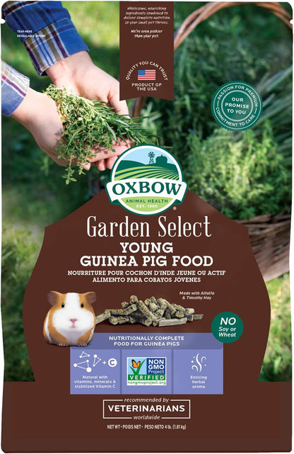 Oxbow Garden Select Young Guinea Pig Food, Alfalfa & Timothy Hay Guinea Pig Pellets, High Fiber for Digestive Health, Vitamin & Mineral Pet Food Pellets, Small Pet Products, Made in USA, 4 lb Bag