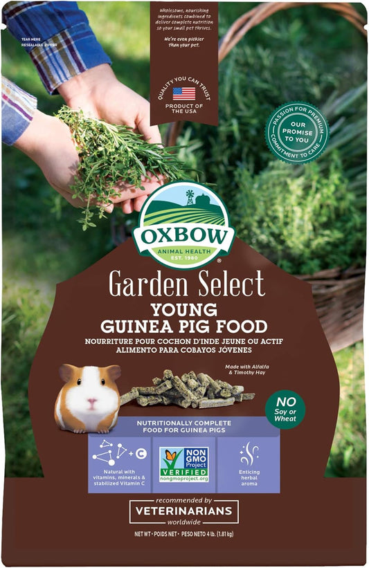 Oxbow Garden Select Young Guinea Pig Food, Alfalfa & Timothy Hay Guinea Pig Pellets, High Fiber for Digestive Health, Vitamin & Mineral Pet Food Pellets, Small Pet Products, Made in USA, 4 lb Bag
