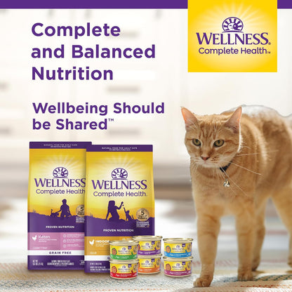 Wellness Complete Health Adult Dry Cat Food for Indoor Cats, Grain Free, Natural, Healthy Weight Chicken & Turkey Meal (11.5 Pound Bag)