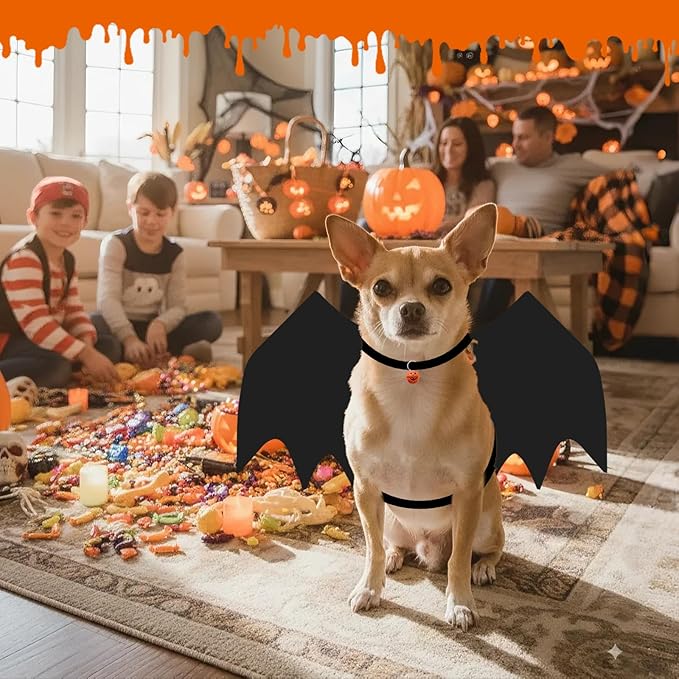 Cat Halloween Costume, Small Dog Halloween Costumes - Bat Wing with Pumpkin Bell for Pet Halloween Cosplay Party Dress Up Accessories (Large)