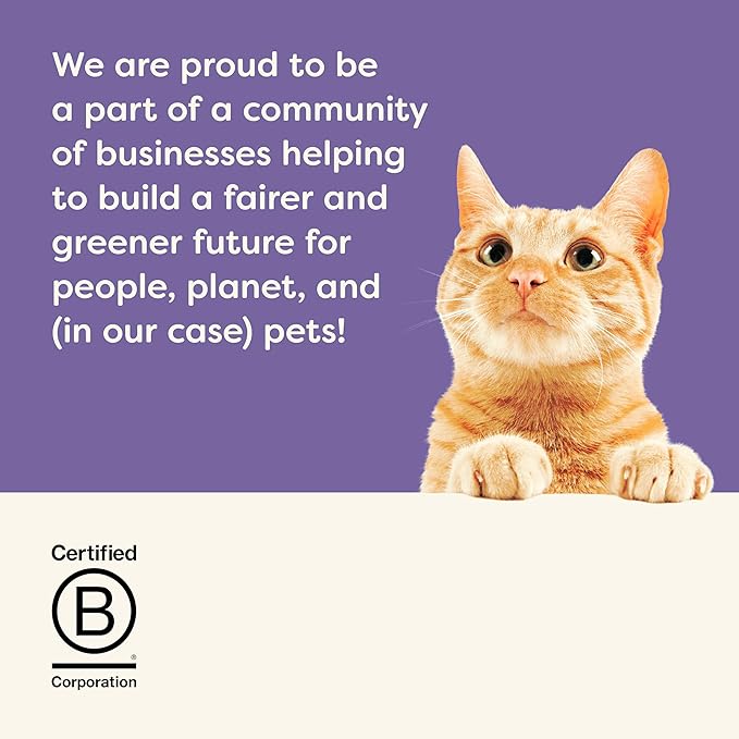 Applaws Natural Wet Canned Cat Food, Limited and Natural Ingredients, High Protein with No Artificial Additives, Fish Selection Variety Pack in Broth (16 x 2.47oz Cans)