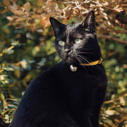 Beau's Bells V2 | Cat & Dog Collar Bells with New Quick Loop Easy Release Clip | Handmade Copper | Track Your Pet | Protect Wildlife