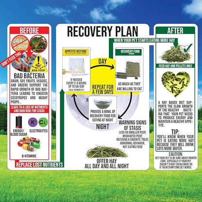 Sherwood Pet Health Rabbit Emergency kit and Bulk Recovery Food (Small kit)