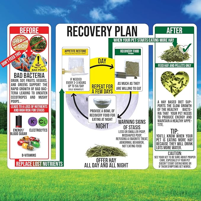 Sherwood Pet Health Guinea Pig Emergency Kit (Small) with Timothy Recovery Food and Appetite Restore in Stay-Fresh Packets