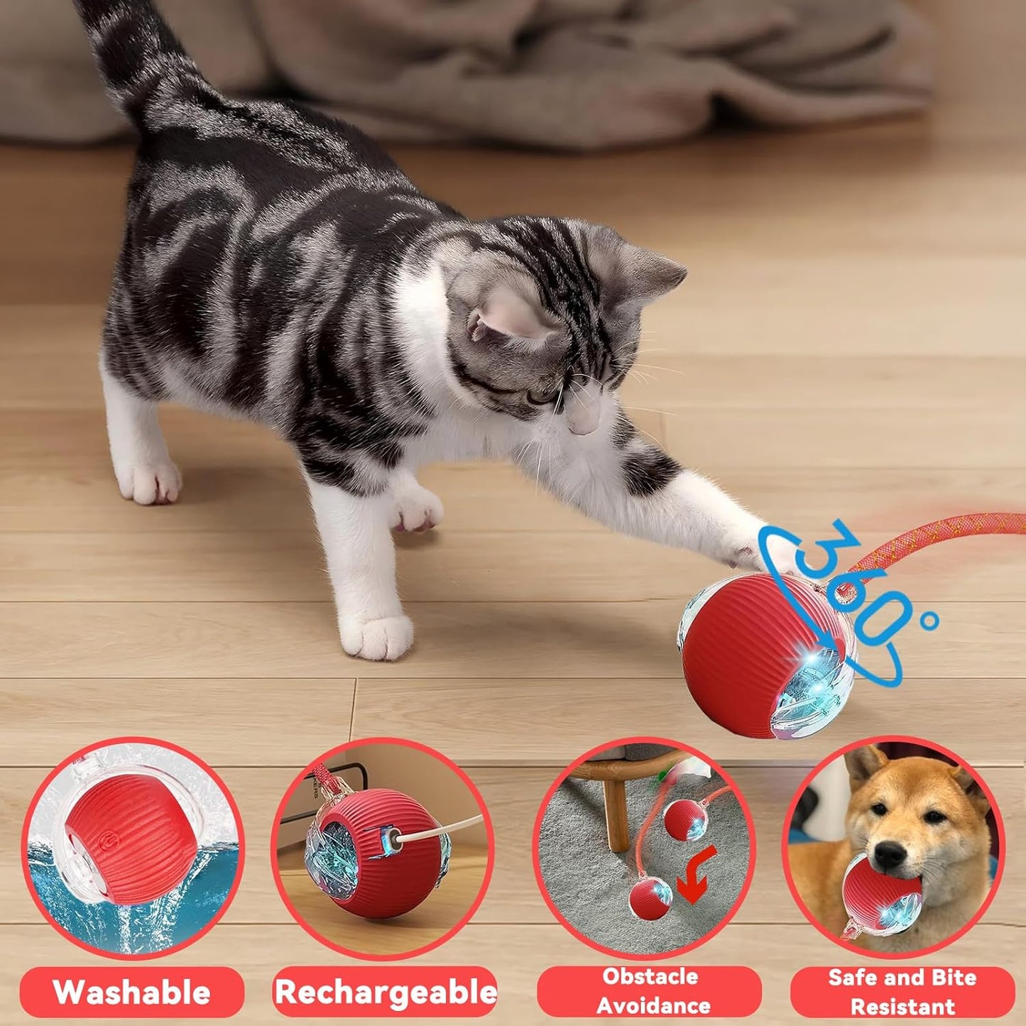 Interactive Cat Toys for Indoor Cats, Automatic Cat Toy with Elastic Mesh Tail, Electric Rolling Ball on Carpet, Chirping and Motion Activate Cat
