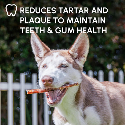 Downtown Pet Supply Bully Sticks for Dogs - Natural 6 Inch Beef Chews, Odor-Free & Rawhide-Free, Long Lasting Dog Treats for Aggressive Chewers - Healthy, Safe & Delicious Chews Dogs Love (10 Pack)