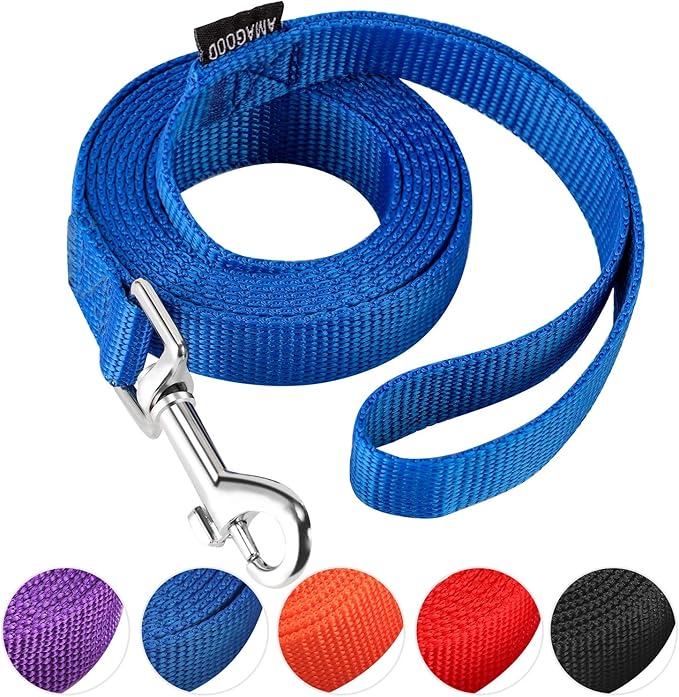 AMAGOOD 6 FT Puppy/Dog Leash, Strong and Durable Traditional Style Leash with Easy to Use Collar Hook, Great for Small, Medium and Large Dogs (1 in x 6 ft(Pack of 1), Blue)