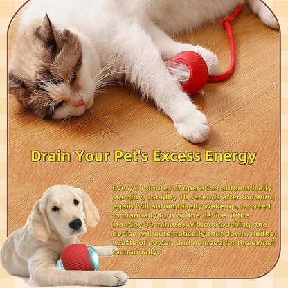 Interactive Dog Cat Toy Ball, Automatic Moving Bouncing Rolling, with Replacement Tail, Pet Smart Chase Ball Rechargeable, Enrichment Toys for Bored Indoor Adult Cats/Dogs (Green)