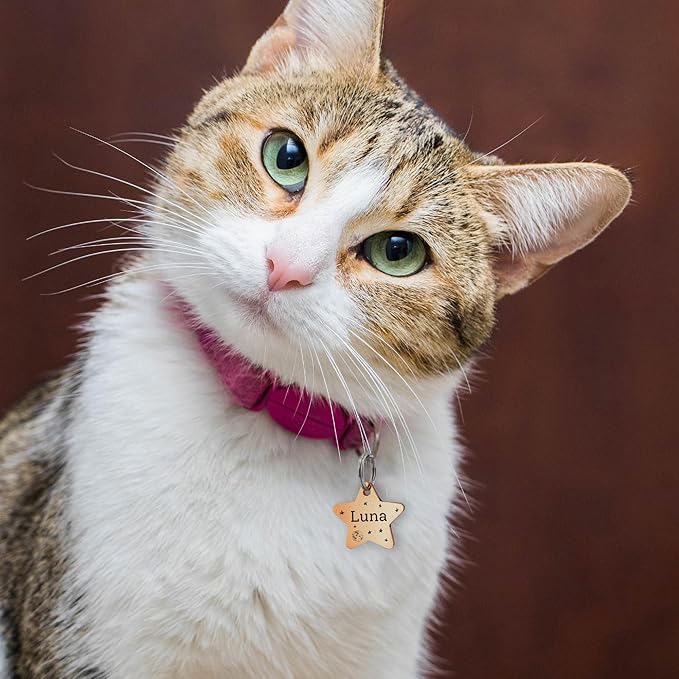 Anavia Small Size Dog Cat ID Tags, Small/XS Personalized Color Plated Stainless Steel Puppy Kitten Name Tags, Customized Engraved Nameplate Pet Collar Tag (Purple, Star)